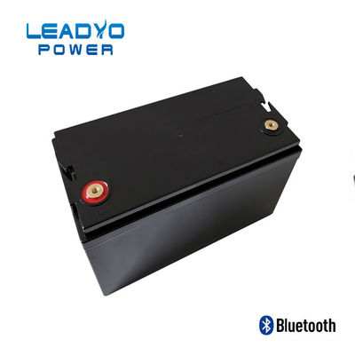 LEADYO BMS Marine Lifepo4 باتری 12 ولت 100 آمپر پلاستیکی قابل پیچ
